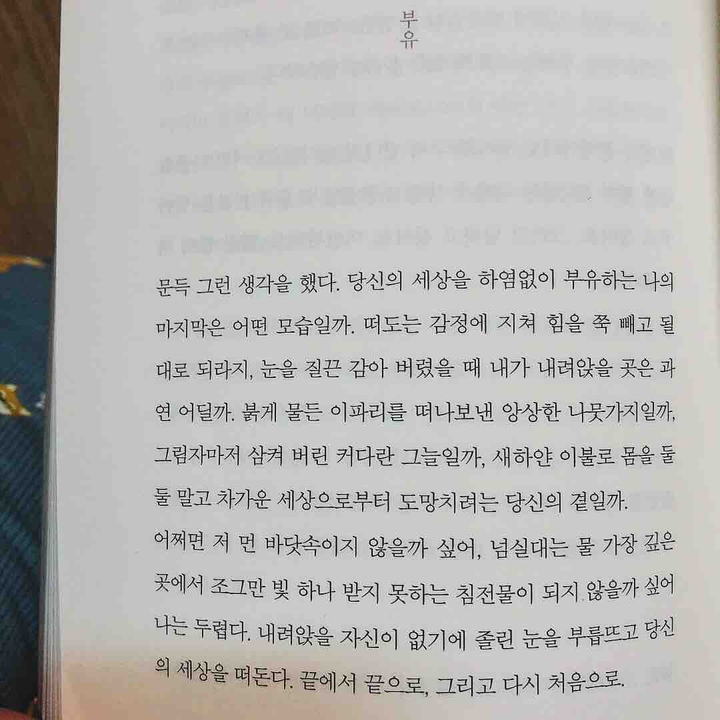 Sentence