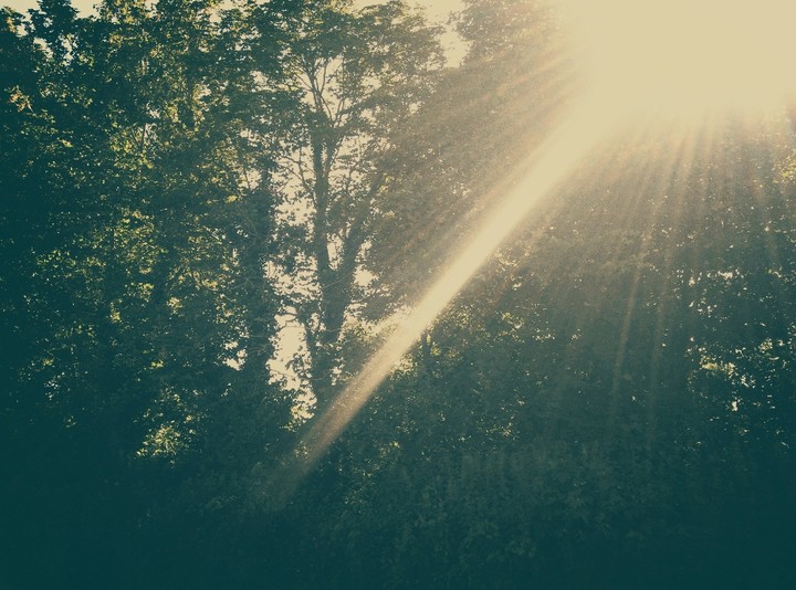 Sunshine