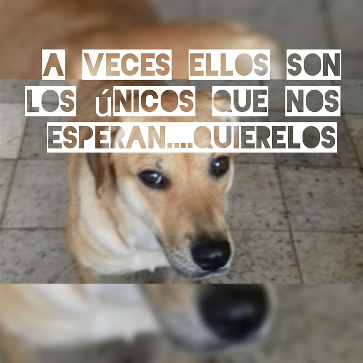 reflexiones de vida