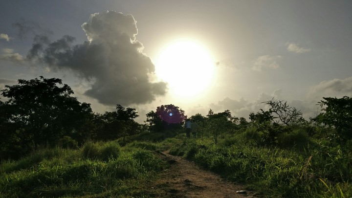 way to the hope..
