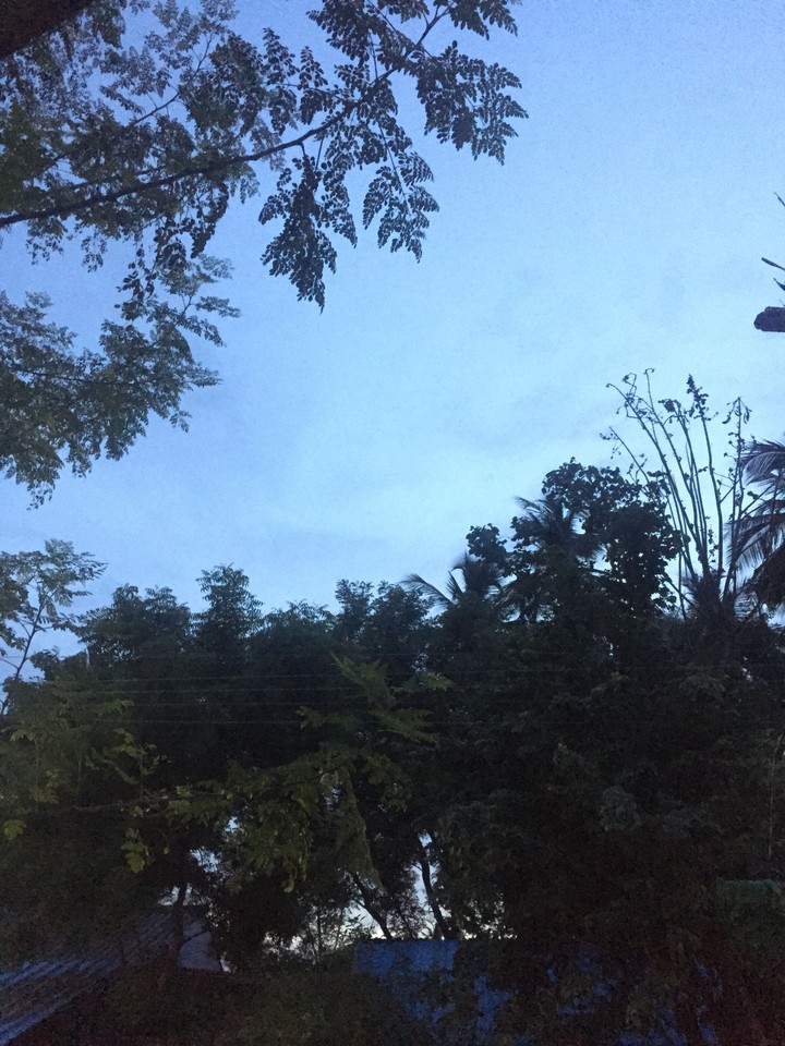 morning scenes