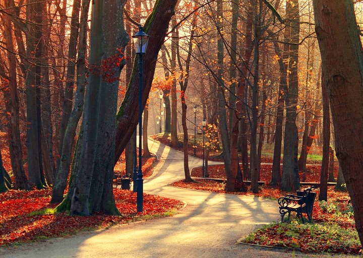Fall in Canada