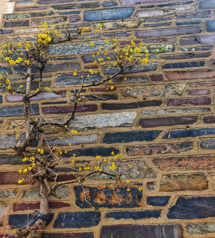 beauty is everywhere