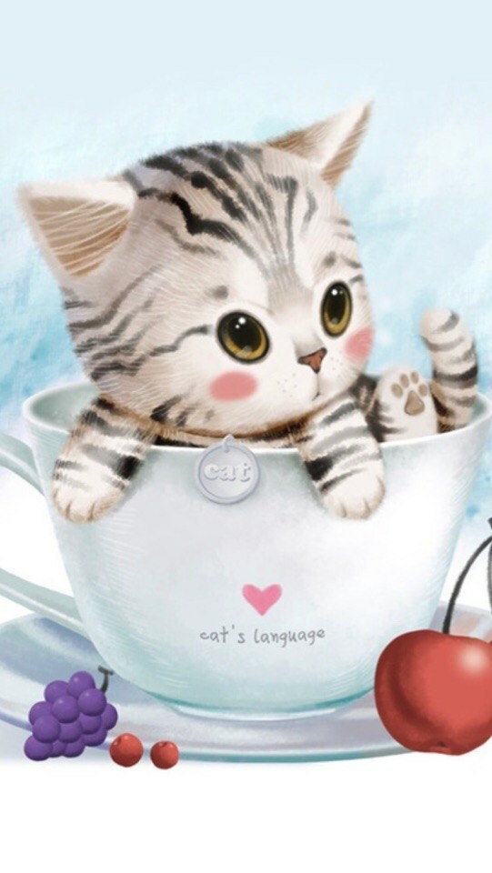 котик