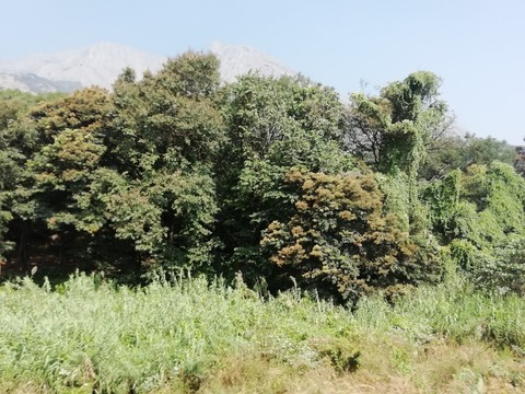 @God'sOwnCountry... @kerala