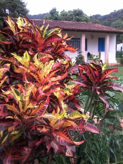 itatiaiuçu Minas Gerais