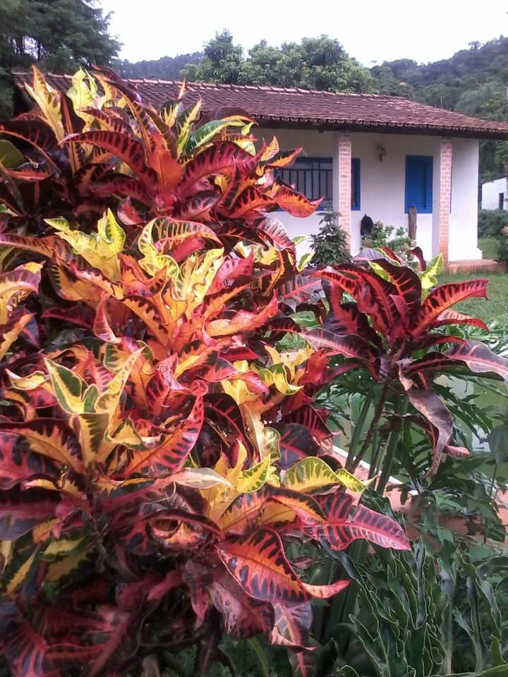 itatiaiuçu Minas Gerais