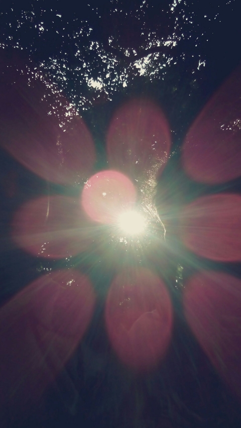 sun kiss