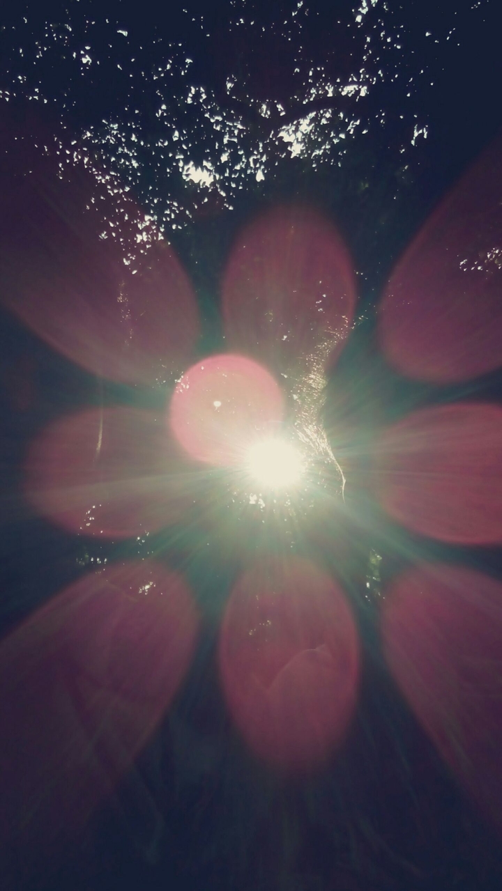 sun kiss