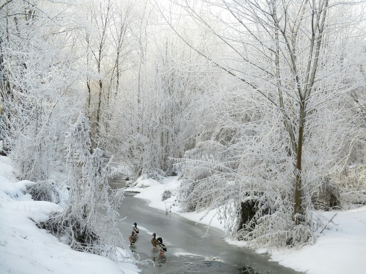 Winter