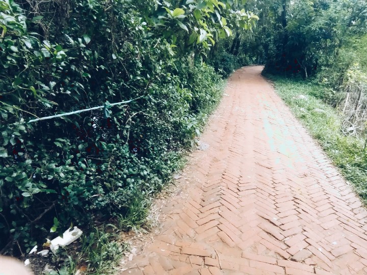 way