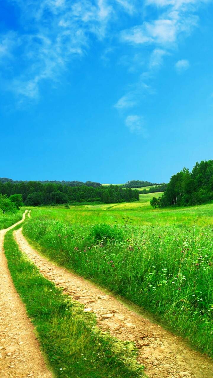 Nature