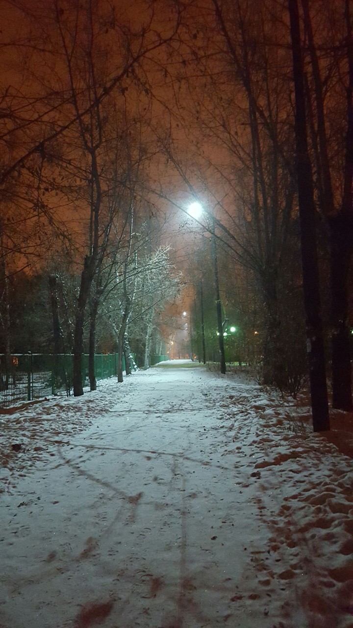 snow city