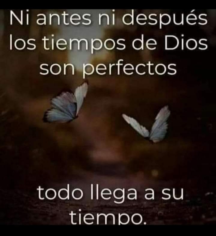 Llegó todo Mal