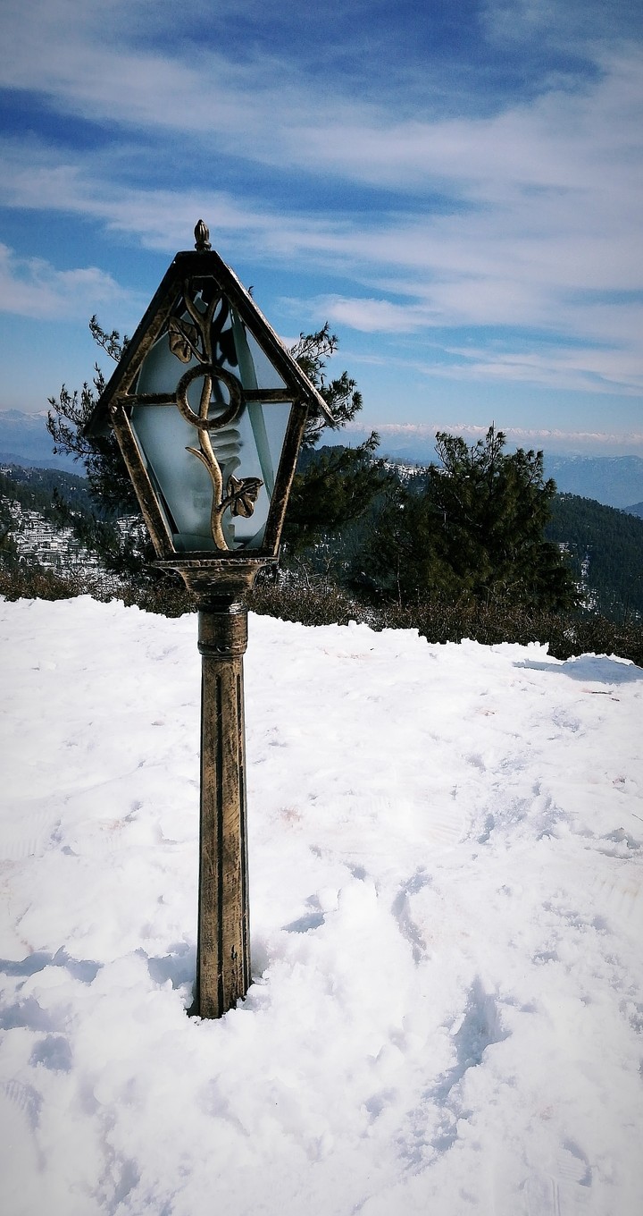 muree