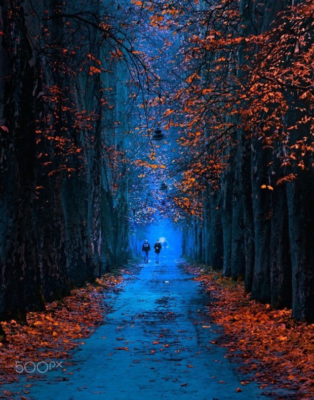 an autumn walk