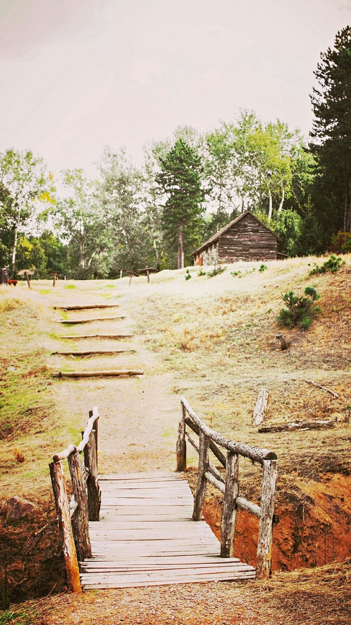 Wooden Bridge