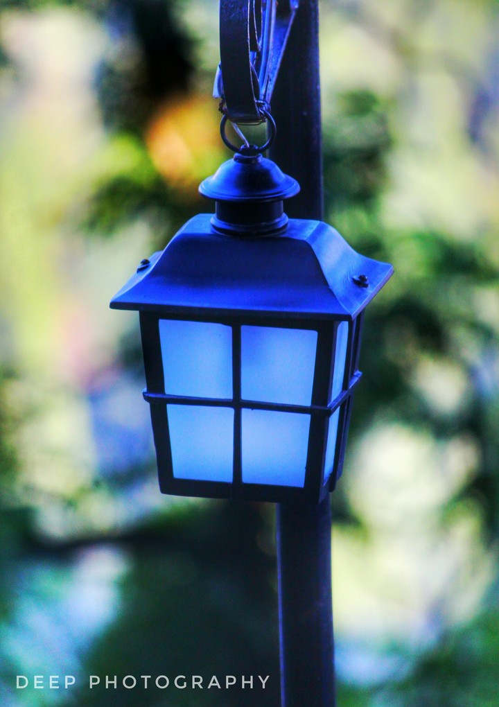 Blue light at green garden
