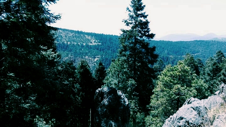 #México #Naturaleza
