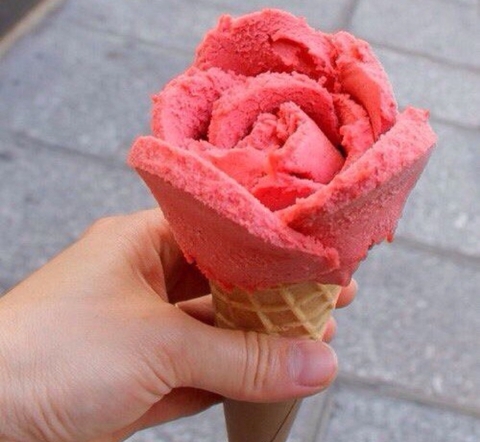 ταπετσαρίες petal, flower