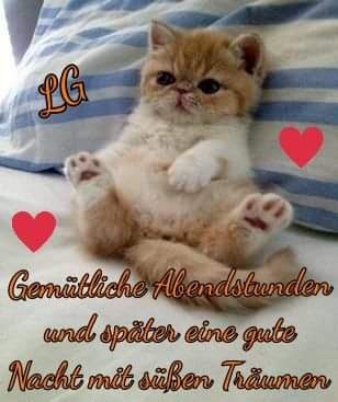 liebe Grüße