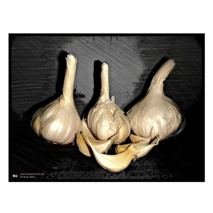 Garlic