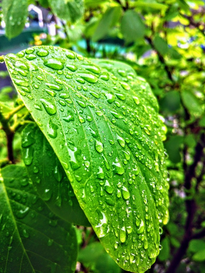Droplets