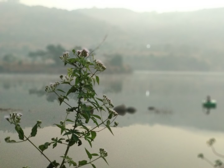 lakeside