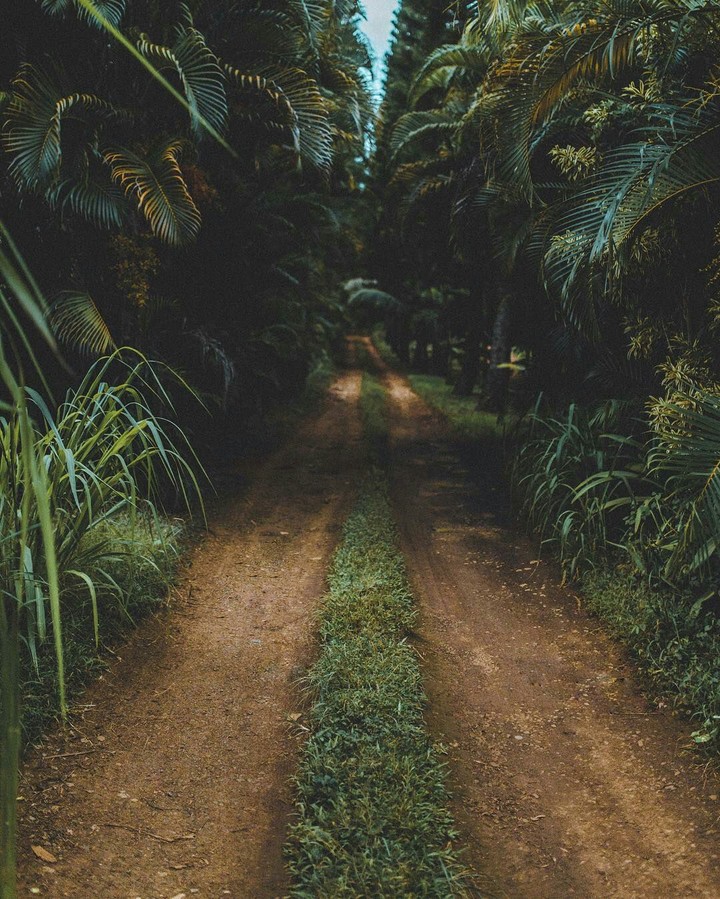 road