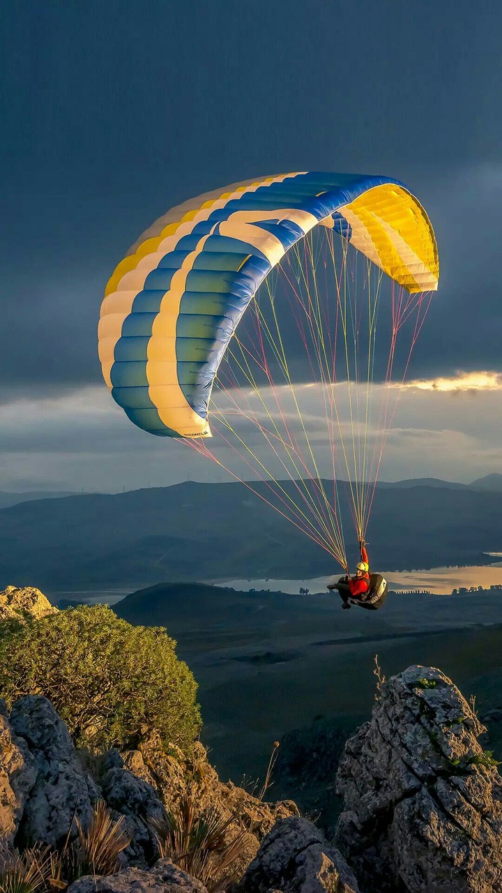 Fly in the Sky