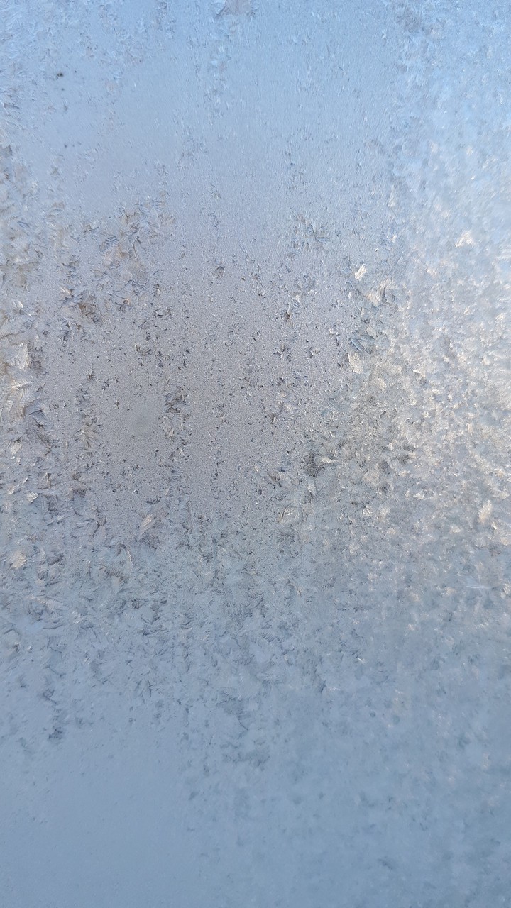 painting  frost