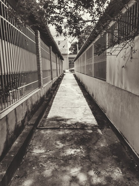 monochrome, black-and-white Hintergrundbilder
