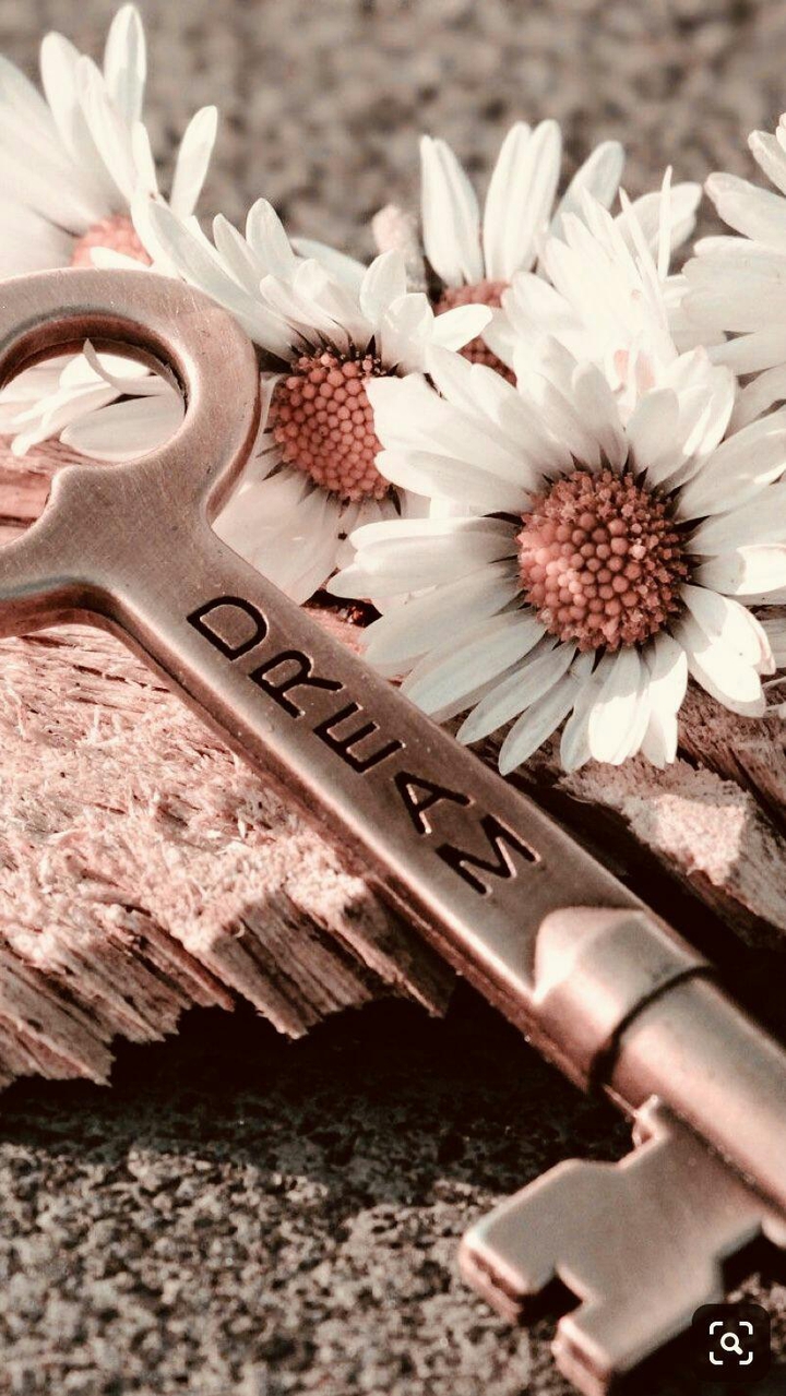 Dream