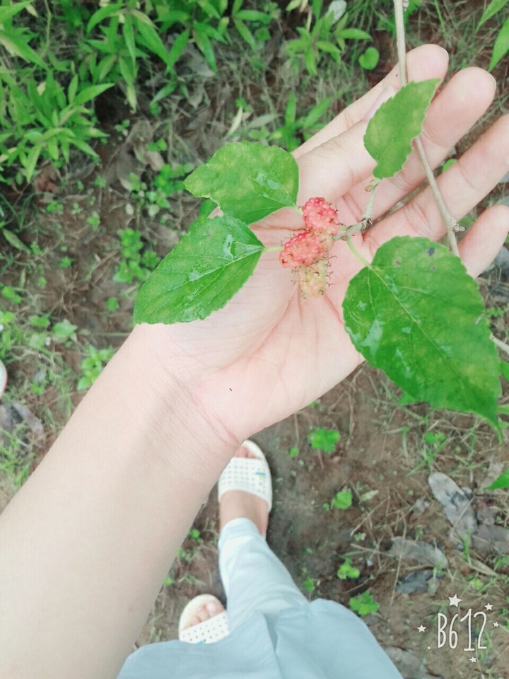 yêu