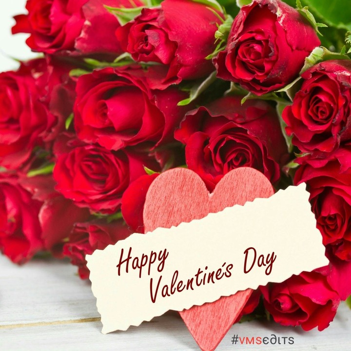 Happy Valentine's Day