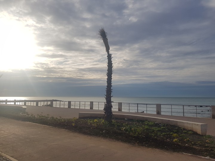Ostia