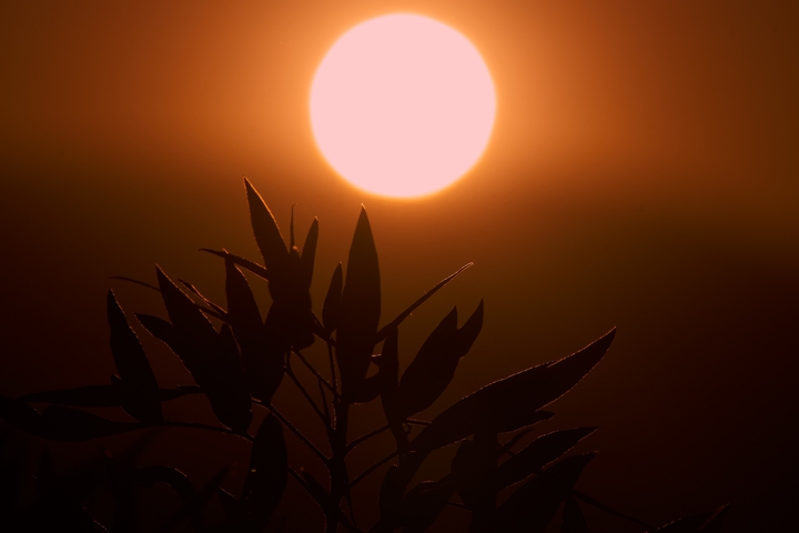 sunset