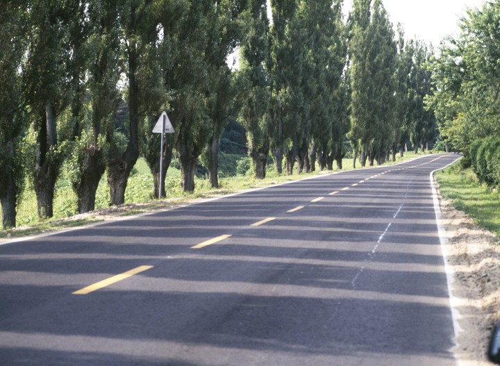Nature and Road