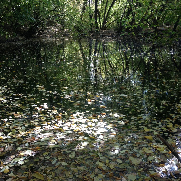 осень