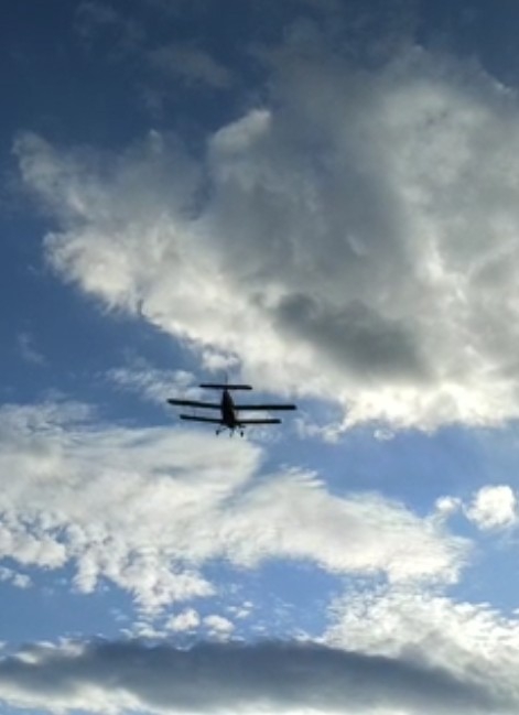 Biplane