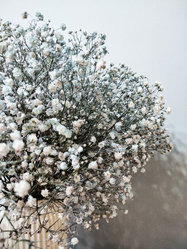 winter flowers