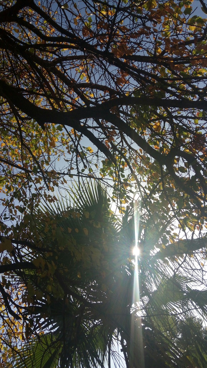 NATURE