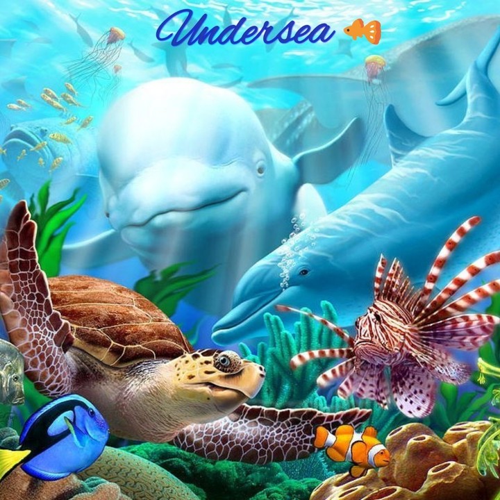 undersea