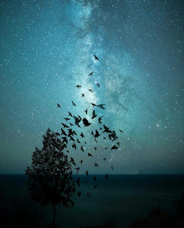 Teach me to fly