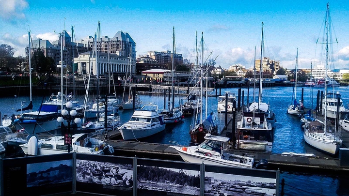 boats