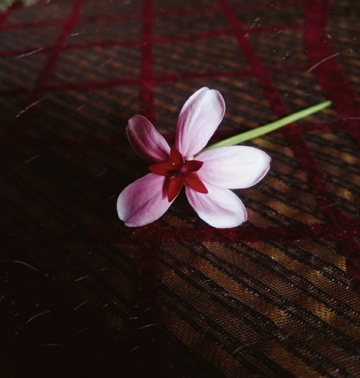 photography