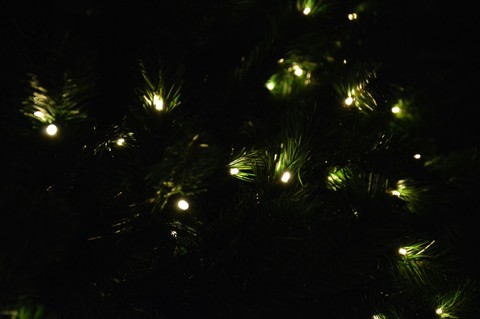 lights
