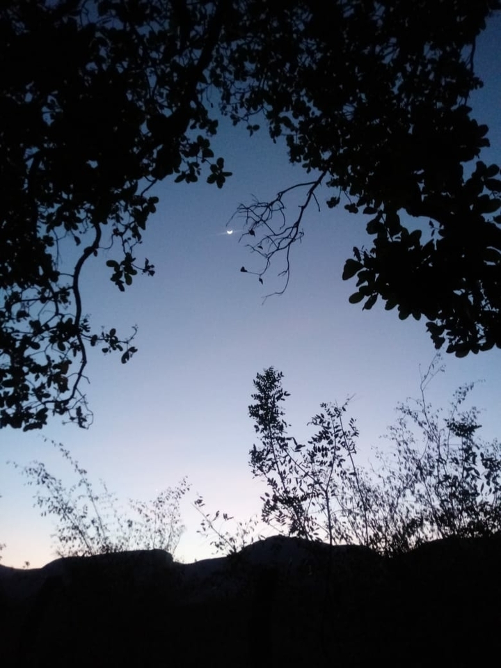 moon