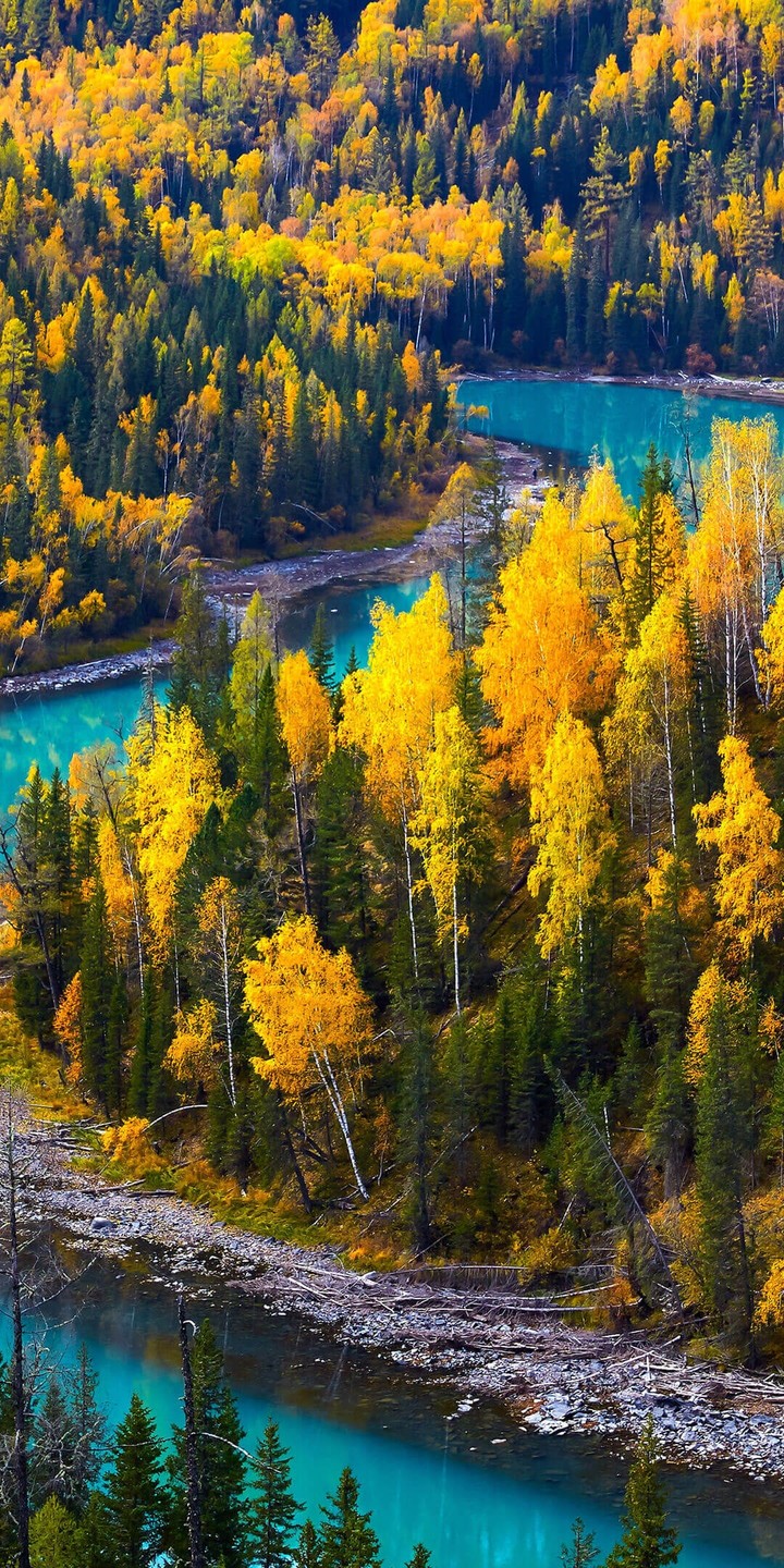 il fiume nel bosco