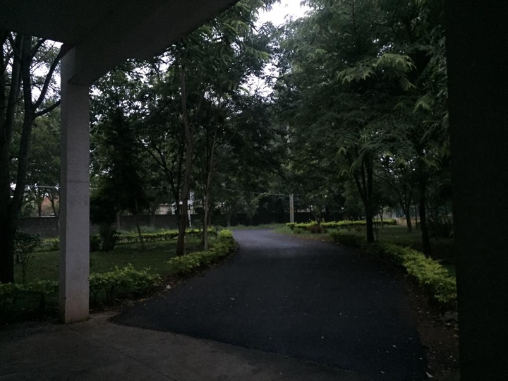 morning